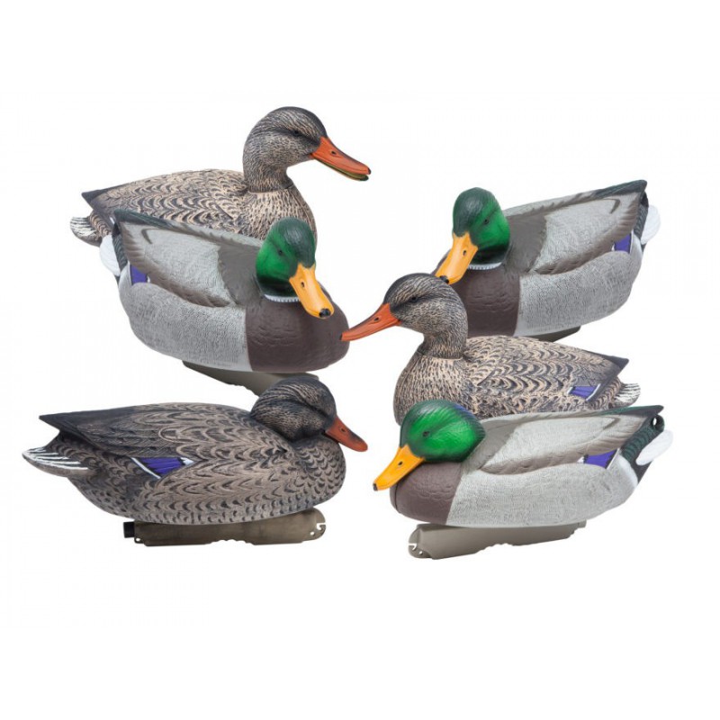 Final Approach Gunner Mallard 6 pack Bushnell Decoys